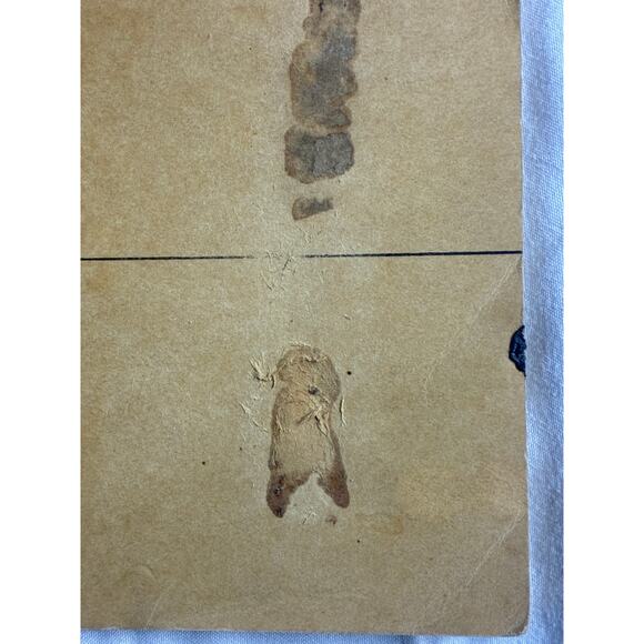 Motorola Instruction Book Radio Frequency Amplifier AM-494/GR 1953 - Manual - Picture 2 of 9